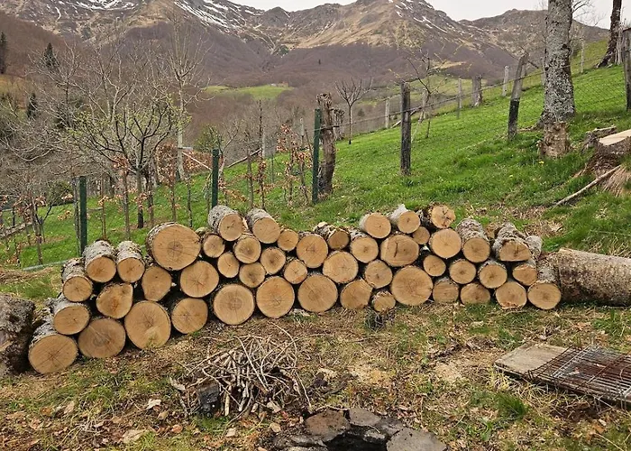 La Barriade De Rudez - *